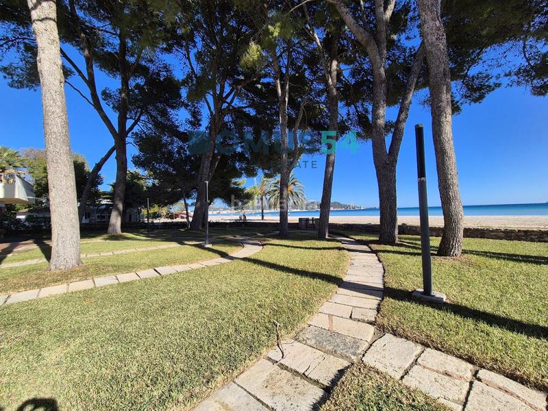 Foto 78be96be-59f5-4694-8b4b-500f78a2389f. Alquiler apartamento  de alquiler en puerto de alcudia en Alcúdia Foto 78be96be-59f5-4694-8b4b-500f78a2389f. Alquiler apartamento  de alquiler en puerto de alcudia en Alcúdia