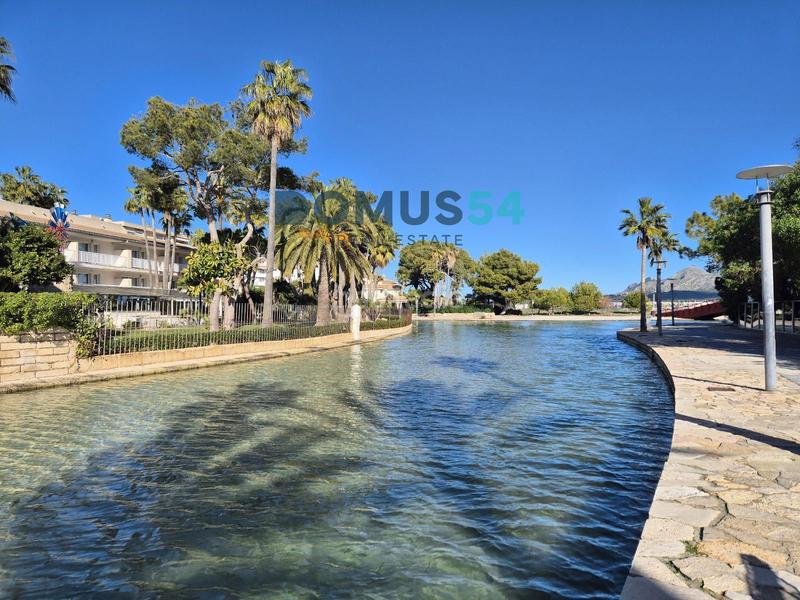 Foto 901a4804-b762-4313-ba13-aacedd4280f1. Alquiler apartamento  de alquiler en puerto de alcudia en Alcúdia Foto 901a4804-b762-4313-ba13-aacedd4280f1. Alquiler apartamento  de alquiler en puerto de alcudia en Alcúdia