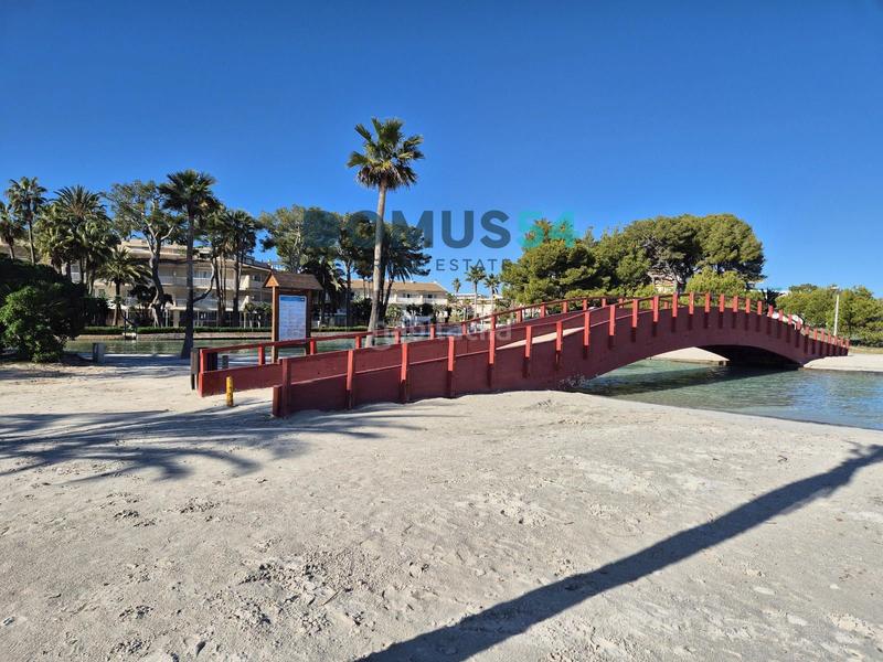 Foto d3a2437d-b70f-470f-ace6-b968c020ea06. Alquiler apartamento  de alquiler en puerto de alcudia en Alcúdia Foto d3a2437d-b70f-470f-ace6-b968c020ea06. Alquiler apartamento  de alquiler en puerto de alcudia en Alcúdia
