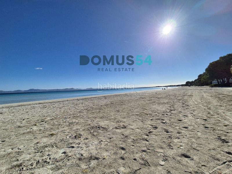 Foto d3c42e34-0299-4c56-b400-85545b07bdf4. Alquiler apartamento  de alquiler en puerto de alcudia en Alcúdia Foto d3c42e34-0299-4c56-b400-85545b07bdf4. Alquiler apartamento  de alquiler en puerto de alcudia en Alcúdia