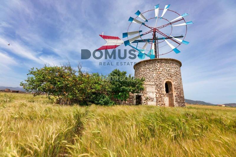 Foto cfdca796-e406-4996-987b-c5421331d05d. Nave industrial nave en Sa Pobla Foto cfdca796-e406-4996-987b-c5421331d05d. Nave industrial nave en Sa Pobla