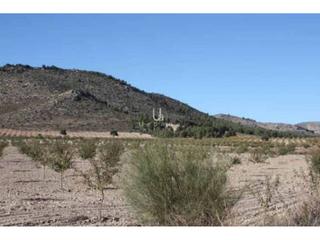 Finca rústica a Umbria del cerro cantado 0. Finca rustica en venta en puebla de don fadrique Finca rústica a Umbria del cerro cantado 0. Finca rustica en venta en puebla de don fadrique