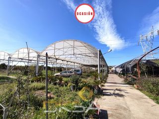 Otros inmuebles en Norte. Vivero con invernaderos y vivienda Otros inmuebles en Norte. Vivero con invernaderos y vivienda
