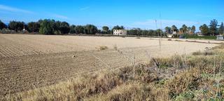 Terreno residenziale in El Palmar. Parcela 5000mt. zona aljucer para edificar Terreno residenziale in El Palmar. Parcela 5000mt. zona aljucer para edificar