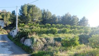 Finca rústica en Benimeli. Finca compuesta por varias parcelas en zona de uso de regadío y Finca rústica en Benimeli. Finca compuesta por varias parcelas en zona de uso de regadío y