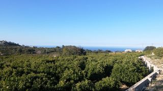 Finca rústica en Benimeli. Finca compuesta por varias parcelas en zona de uso de regadío y Finca rústica en Benimeli. Finca compuesta por varias parcelas en zona de uso de regadío y