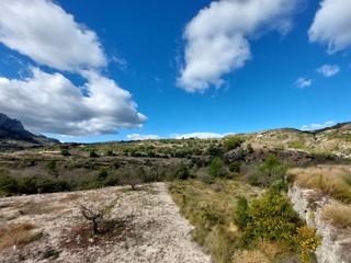 Residential Plot in Vall de Gallinera (La). Ocasión de inversión en parcela urbana en vall de gallinera. cos Residential Plot in Vall de Gallinera (La). Ocasión de inversión en parcela urbana en vall de gallinera. cos