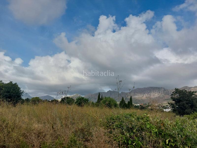 Foto 522d8ea6-ede9-4a7d-a503-4ea073cfb484. Finca rústica a Beniarbeig Foto 522d8ea6-ede9-4a7d-a503-4ea073cfb484. Finca rústica a Beniarbeig