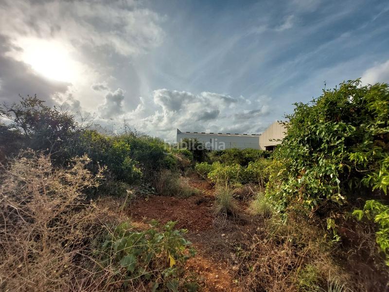 Foto 90b19a7b-fca3-46f2-8ca0-6201479291ef. Finca rústica a Beniarbeig Foto 90b19a7b-fca3-46f2-8ca0-6201479291ef. Finca rústica a Beniarbeig