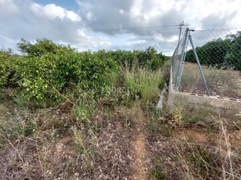 Foto a0a5ce96-2b9c-4856-ae90-4cd7eee0ce8f. Finca rústica a Beniarbeig Foto a0a5ce96-2b9c-4856-ae90-4cd7eee0ce8f. Finca rústica a Beniarbeig