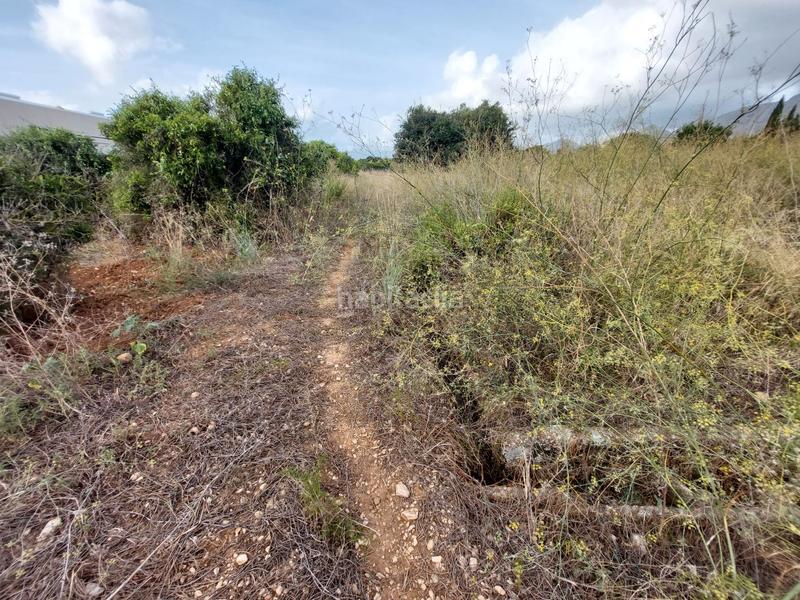 Foto ad1bc081-fdd4-49fd-8756-bc760304782c. Finca rústica a Beniarbeig Foto ad1bc081-fdd4-49fd-8756-bc760304782c. Finca rústica a Beniarbeig