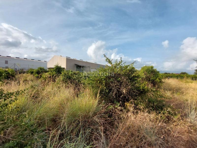 Foto b6d7a9eb-76d0-4521-bdd9-4b941b616879. Finca rústica a Beniarbeig Foto b6d7a9eb-76d0-4521-bdd9-4b941b616879. Finca rústica a Beniarbeig