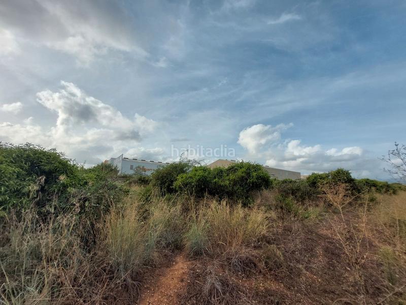 Foto c6127eed-b7cf-461e-b595-4ff310eb586e. Finca rústica a Beniarbeig Foto c6127eed-b7cf-461e-b595-4ff310eb586e. Finca rústica a Beniarbeig