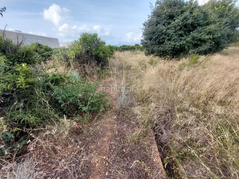 Foto e61e1fa9-d30d-422c-9d24-2c57eb2a85d5. Finca rústica a Beniarbeig Foto e61e1fa9-d30d-422c-9d24-2c57eb2a85d5. Finca rústica a Beniarbeig