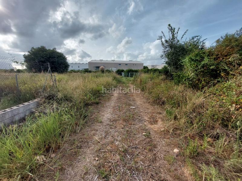 Foto f789be82-529f-4de1-bfe6-a772bb072379. Finca rústica a Beniarbeig Foto f789be82-529f-4de1-bfe6-a772bb072379. Finca rústica a Beniarbeig