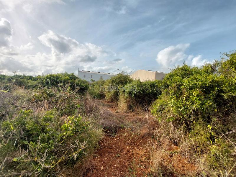 Foto f8518d5a-d4fd-418b-9051-519d888801bc. Finca rústica a Beniarbeig Foto f8518d5a-d4fd-418b-9051-519d888801bc. Finca rústica a Beniarbeig