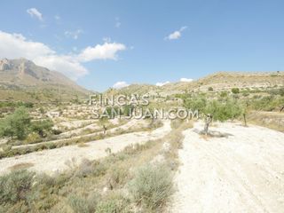 Finca rústica en Xixona. Finca rúst. venta ameradores, 50000€ Finca rústica en Xixona. Finca rúst. venta ameradores, 50000€