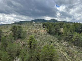Lloguer Terreny residencial a Benilloba. Terreno rústico en alquiler en benilloba. Lloguer Terreny residencial a Benilloba. Terreno rústico en alquiler en benilloba.