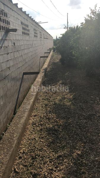 Foto 6849cbd8-74ee-4406-8f69-35bccbc827f4. Finca rústica en Guadassuar Foto 6849cbd8-74ee-4406-8f69-35bccbc827f4. Finca rústica en Guadassuar