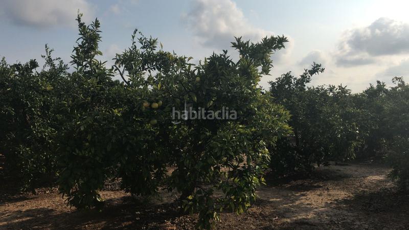 Foto 92a3dc37-7ef8-446c-895d-30dd6987f1ff. Finca rústica en Guadassuar Foto 92a3dc37-7ef8-446c-895d-30dd6987f1ff. Finca rústica en Guadassuar