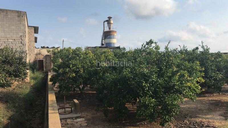 Foto c691820d-bb08-4506-a2c3-6cfd3c93ca01. Finca rústica en Guadassuar Foto c691820d-bb08-4506-a2c3-6cfd3c93ca01. Finca rústica en Guadassuar