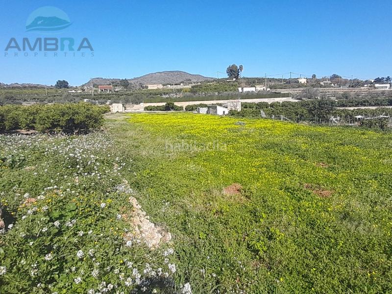 Foto 185b8caa-2da5-4ead-89f8-0730404981cd. Finca rústica a Pego Foto 185b8caa-2da5-4ead-89f8-0730404981cd. Finca rústica a Pego