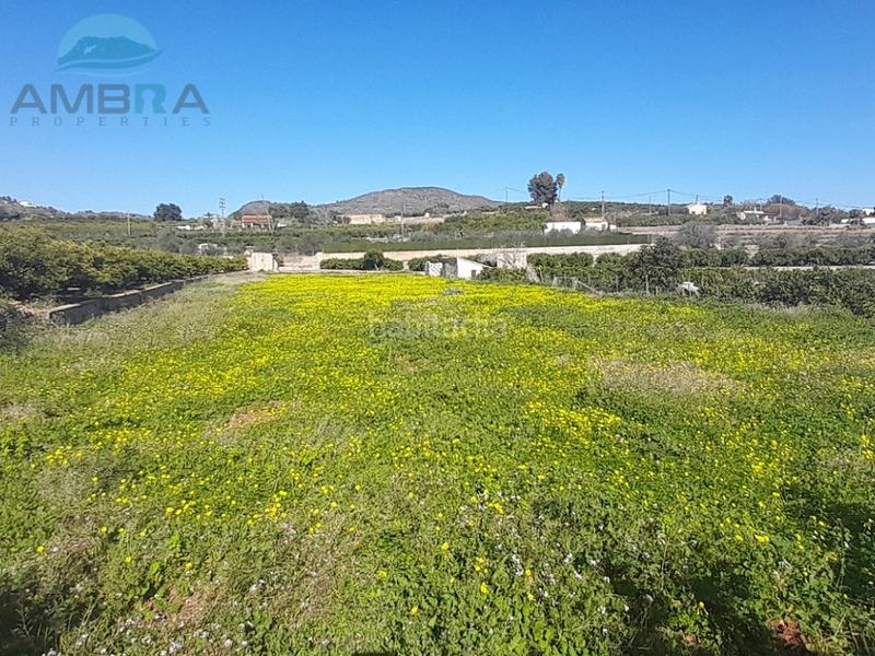 Foto c4671084-4570-437a-9fcb-47f75b010120. Finca rústica a Pego Foto c4671084-4570-437a-9fcb-47f75b010120. Finca rústica a Pego