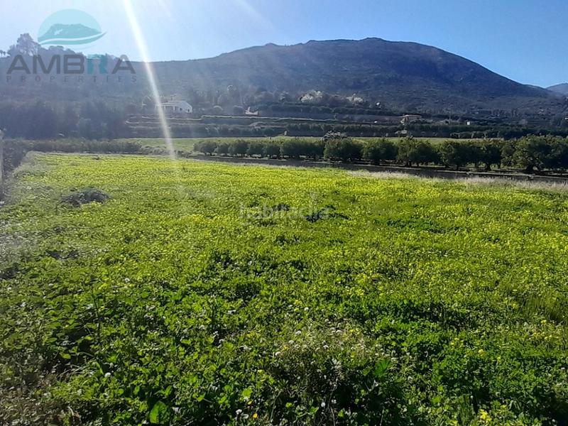 Foto d1573c91-8677-489b-ac91-87b477952a1b. Finca rústica a Pego Foto d1573c91-8677-489b-ac91-87b477952a1b. Finca rústica a Pego