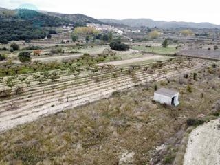 Rural plot  N/a. Terreno con casita de campo con pozo de agua Rural plot  N/a. Terreno con casita de campo con pozo de agua