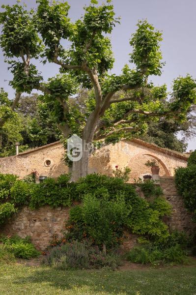 Foto fe13a0be-cf27-4184-a90d-b05ae6da3f83. Fondo rustico in Cervià de Ter Foto fe13a0be-cf27-4184-a90d-b05ae6da3f83. Fondo rustico in Cervià de Ter