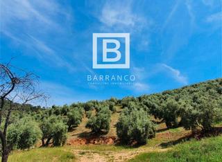 Finca rústica Beas de segura. Beas de segura Finca rústica Beas de segura. Beas de segura