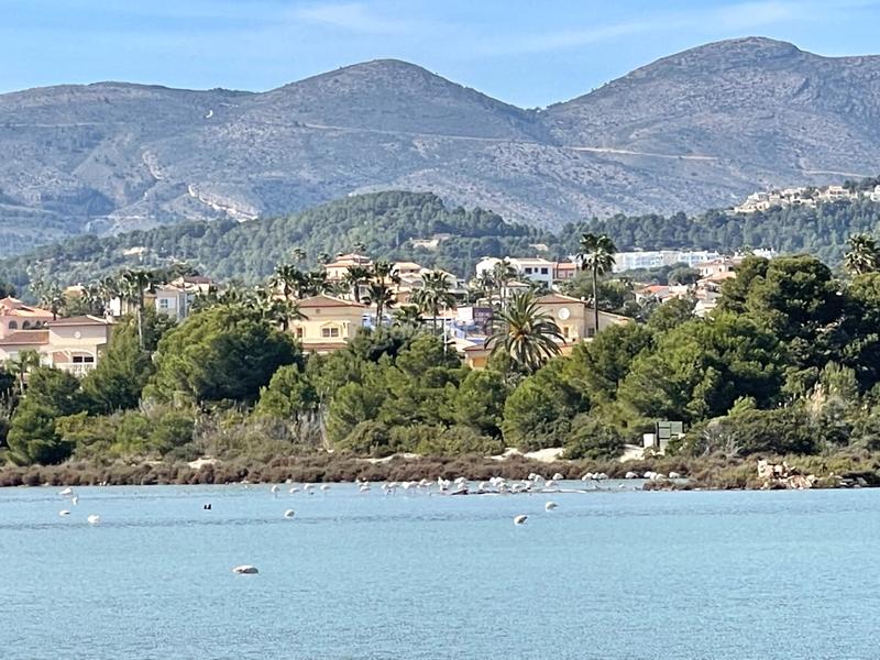 Foto 6f2628be-2ebf-4bb5-99a7-cc3df493e3ea. Rent flat with heating pool in Puerto Calp Foto 6f2628be-2ebf-4bb5-99a7-cc3df493e3ea. Rent flat with heating pool in Puerto Calp