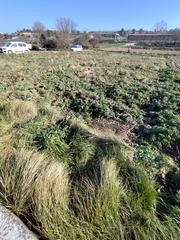 Location Propriété à Talavera. Hort en lloguer Location Propriété à Talavera. Hort en lloguer