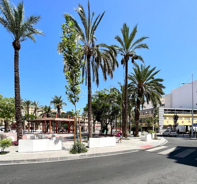 Foto f9ef3425-71fc-45a8-bd62-c11340f5491a. Flat in Carrús Oeste Elche / Elx Foto f9ef3425-71fc-45a8-bd62-c11340f5491a. Flat in Carrús Oeste Elche / Elx