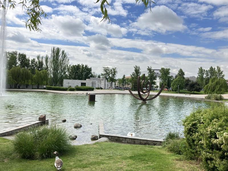 Foto ee8970ad-bc88-4b03-ba42-33b50fcc2d0f. Piano terra in Centro Navalcarnero Foto ee8970ad-bc88-4b03-ba42-33b50fcc2d0f. Piano terra in Centro Navalcarnero