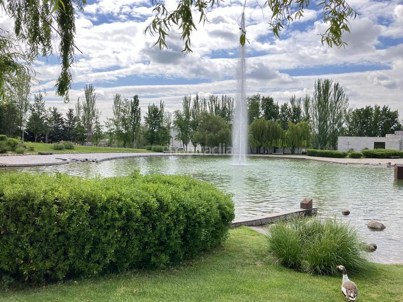 Foto 4a135bde-7558-4aee-b10c-104f8aa1331e. Planta baja en Centro Navalcarnero Foto 4a135bde-7558-4aee-b10c-104f8aa1331e. Planta baja en Centro Navalcarnero