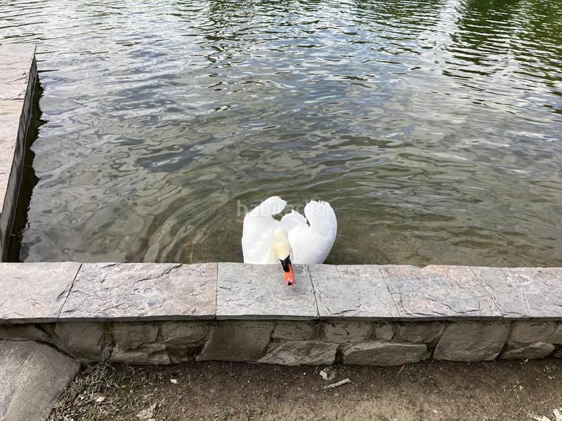 Foto e01240df-fbec-4d00-9d26-8f87580a001d. Planta baja en Centro Navalcarnero Foto e01240df-fbec-4d00-9d26-8f87580a001d. Planta baja en Centro Navalcarnero