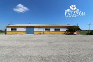 Nau industrial en San Fulgencio. Nave en venta en san fulgencio (alicante) Nau industrial en San Fulgencio. Nave en venta en san fulgencio (alicante)