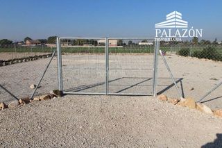 Rent Rural plot in Catral. Huerto de ocio, caravana etc..., en alquiler en catral Rent Rural plot in Catral. Huerto de ocio, caravana etc..., en alquiler en catral