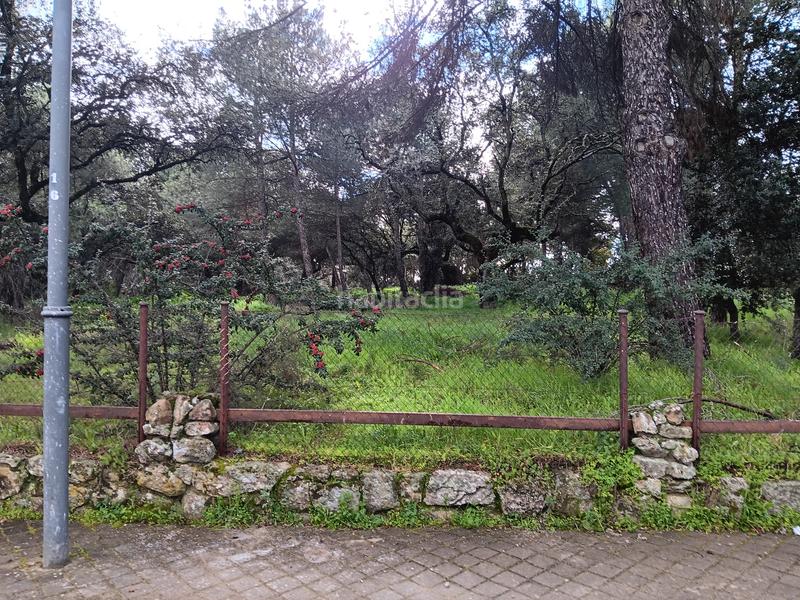 Foto 6c18f0c6-ba20-4a90-82e2-2f08dfd3518a. Terreny residencial a calle retama 15 a Casco Antiguo Boadilla del Monte Foto 6c18f0c6-ba20-4a90-82e2-2f08dfd3518a. Terreny residencial a calle retama 15 a Casco Antiguo Boadilla del Monte
