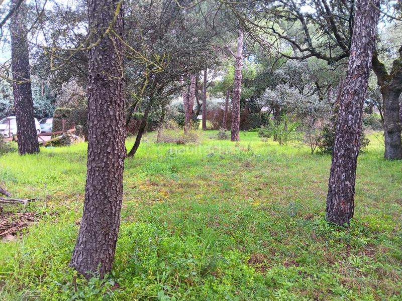 Foto 7b202e81-5027-4cce-985a-414c9781b4a3. Terreny residencial a calle retama 15 a Casco Antiguo Boadilla del Monte Foto 7b202e81-5027-4cce-985a-414c9781b4a3. Terreny residencial a calle retama 15 a Casco Antiguo Boadilla del Monte