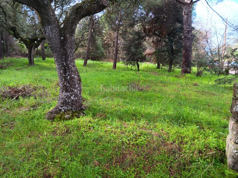 Foto b9f1abfa-f8b1-4a65-8cb8-09110a03fe06. Terreny residencial a calle retama 15 a Casco Antiguo Boadilla del Monte Foto b9f1abfa-f8b1-4a65-8cb8-09110a03fe06. Terreny residencial a calle retama 15 a Casco Antiguo Boadilla del Monte