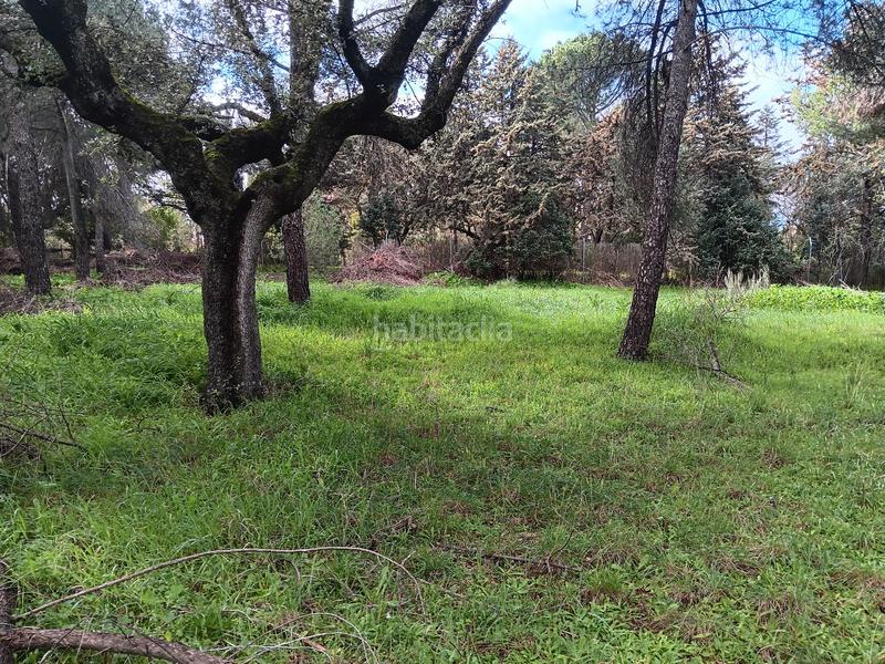 Foto e4d3c370-58c3-4c00-baca-1a1580b7f64f. Terreny residencial a calle retama 15 a Casco Antiguo Boadilla del Monte Foto e4d3c370-58c3-4c00-baca-1a1580b7f64f. Terreny residencial a calle retama 15 a Casco Antiguo Boadilla del Monte