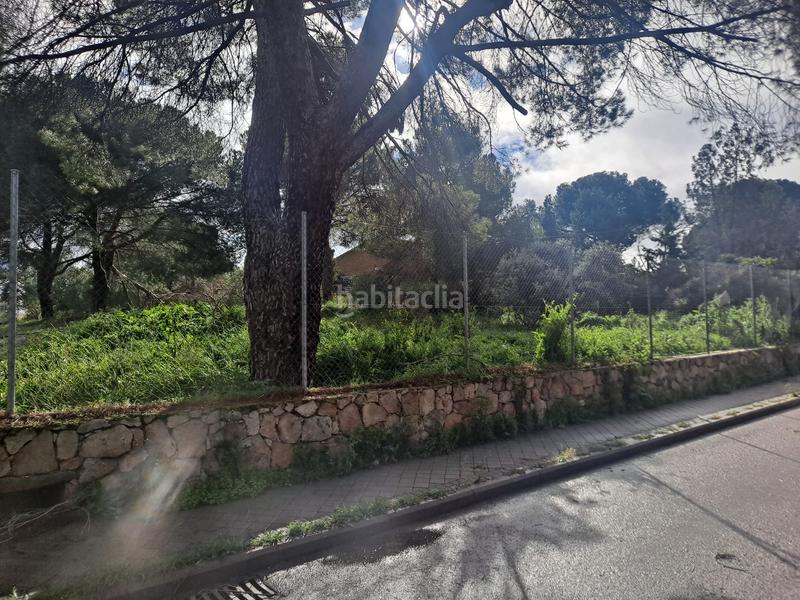 Foto 15265a79-1d39-4a83-8ef7-605b34af08eb. Terreno residencial en calle de la retama 19 espectacualar parcela en Boadilla del Monte Foto 15265a79-1d39-4a83-8ef7-605b34af08eb. Terreno residencial en calle de la retama 19 espectacualar parcela en Boadilla del Monte