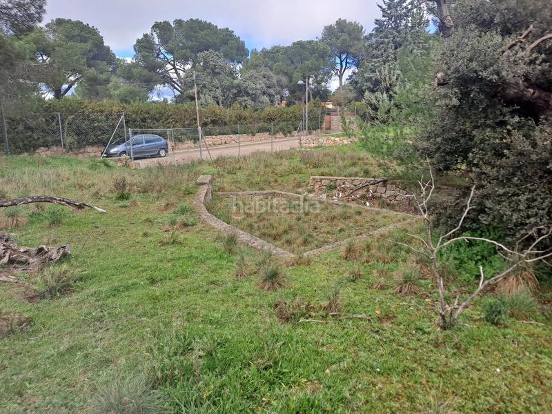 Foto 5a8e4ad7-37f2-4e88-9b6a-1c86e8544c03. Terreno residencial en calle de la retama 19 espectacualar parcela en Boadilla del Monte Foto 5a8e4ad7-37f2-4e88-9b6a-1c86e8544c03. Terreno residencial en calle de la retama 19 espectacualar parcela en Boadilla del Monte