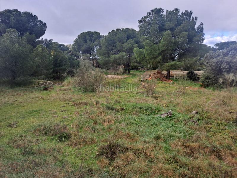Foto 5f508ded-d7f5-4244-bdef-75f4737699ac. Terreno residencial en calle de la retama 19 espectacualar parcela en Boadilla del Monte Foto 5f508ded-d7f5-4244-bdef-75f4737699ac. Terreno residencial en calle de la retama 19 espectacualar parcela en Boadilla del Monte