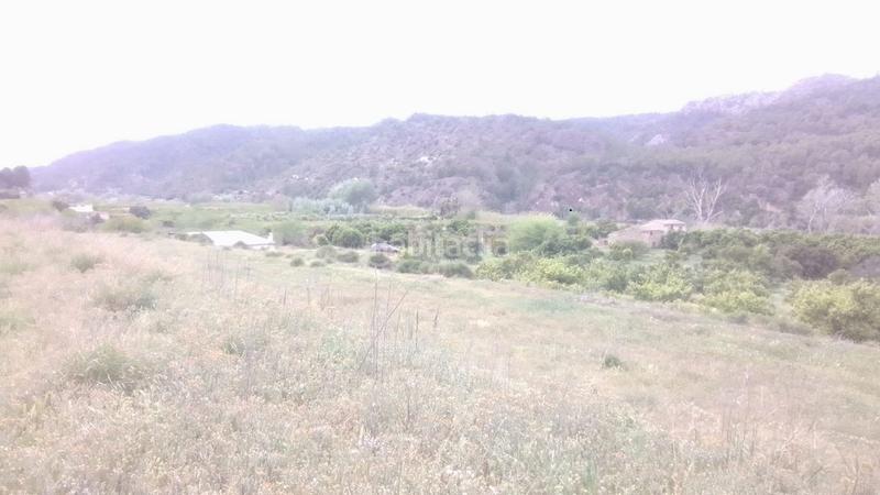 Foto 3c88d2fb-0dbc-48bb-a8b2-2065d77c0cd6. Finca rústica a Benifallet Foto 3c88d2fb-0dbc-48bb-a8b2-2065d77c0cd6. Finca rústica a Benifallet