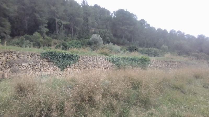 Foto 52c14ae2-d6f9-4a0a-ae21-86cfc252838e. Finca rústica a Benifallet Foto 52c14ae2-d6f9-4a0a-ae21-86cfc252838e. Finca rústica a Benifallet