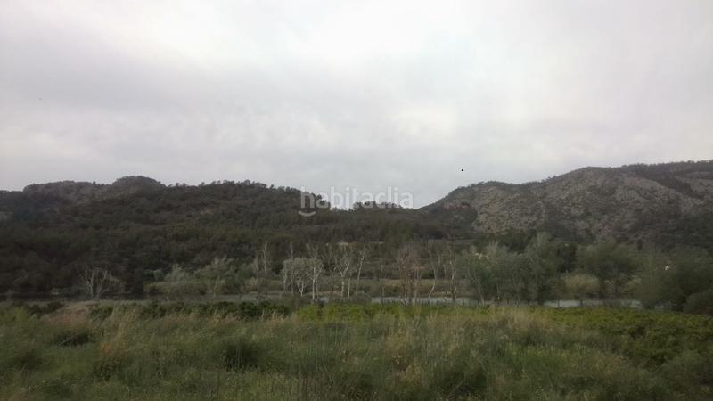 Foto 66adefce-a8d2-4bbe-94e5-1651debf28df. Finca rústica a Benifallet Foto 66adefce-a8d2-4bbe-94e5-1651debf28df. Finca rústica a Benifallet
