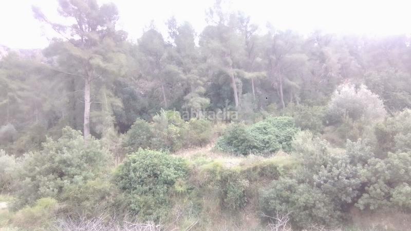 Foto dedb23cb-0ab7-4428-8d56-4a5bb7fbe236. Finca rústica a Benifallet Foto dedb23cb-0ab7-4428-8d56-4a5bb7fbe236. Finca rústica a Benifallet